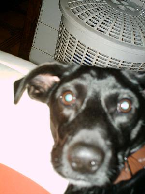 EL CARA Y SELLO DE UN CARRETE